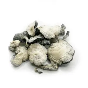 Jack Frost Mushrooms UK