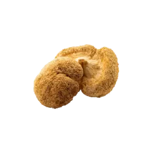 Lion's Mane Mushroom
