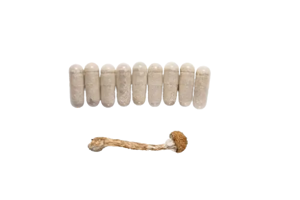 Microdosing Mushroom Capsules 225mg
