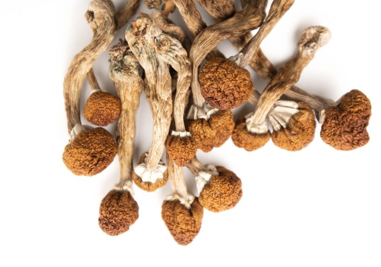 Magic Mushrooms for Anxiety and Depression